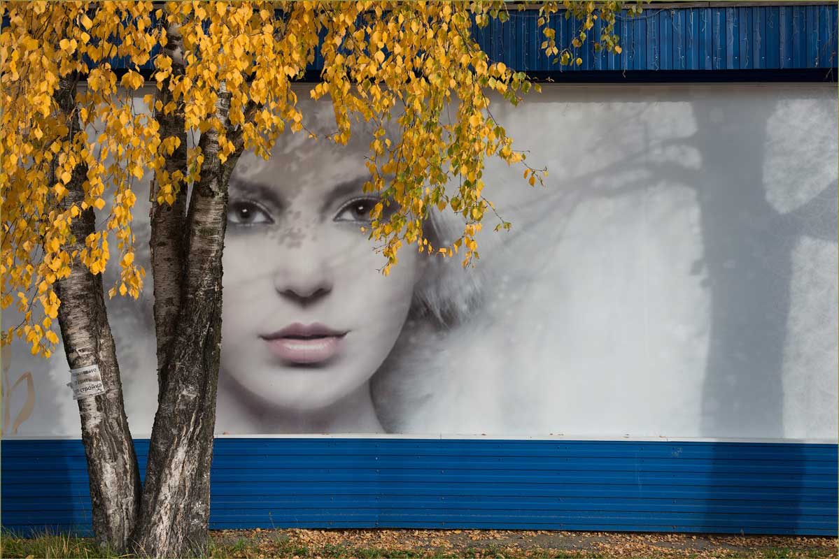 Я заметил, фото А. Овсова