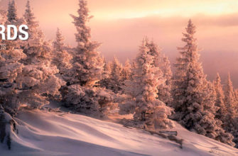 Фотоконкурс «Природа под снегом» от 35AWARDS