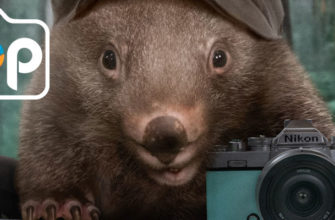 Австралийский фотоконкурс Australian Photographic Prize объявил победителей