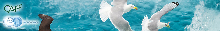 Фотоконкурс «Арктическое биоразнообразие через объектив» — Arctic Biodiversity Through the Lens Фотоконкурс «Арктическое биоразнообразие через объектив»