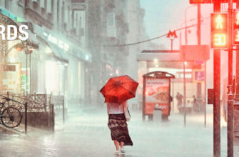 Фотоконкурс «Дождливые города и улицы» от 35AWARDS