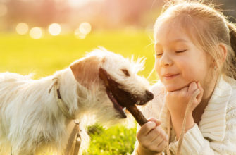 Фотоконкурс «Друзья наши меньшие»