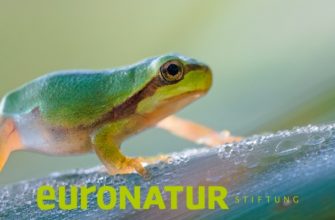 Фотоконкурс «Сокровища природы» — EuroNatur