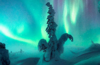 Победители фотоконкурса «Northern Lights Photographer of the Year 2022»