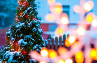 Поздравляем победителей фотоконкурса «Новогоднее настроение»