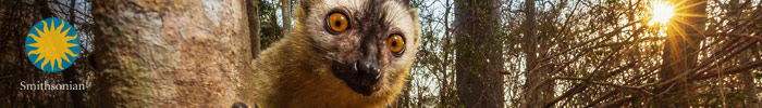 Фотоконкурс Smithsonian Фотоконкурс Smithsonian