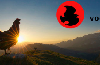 Конкурс «Очаровательная фотография птиц»