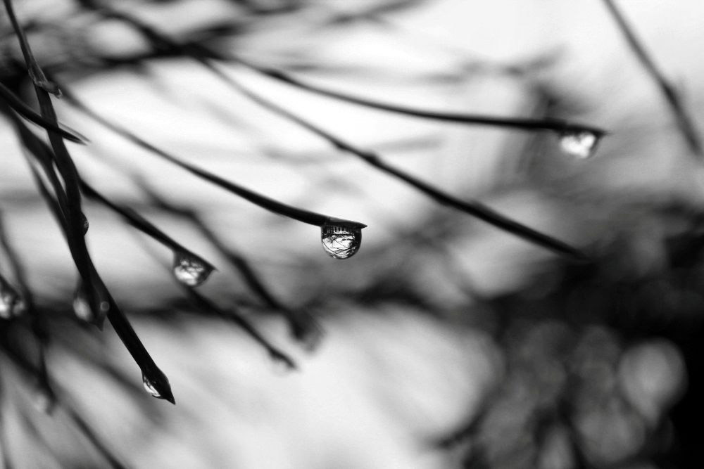 После дождя, © Юлия Трапезникова После дождя, © Юлия Трапезникова, Фотоконкурс «Погодный фотограф года» — Weather Photographer of the Year