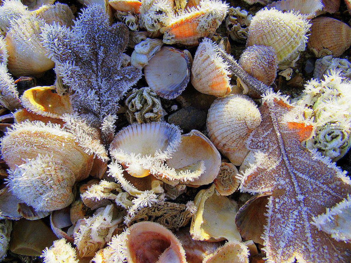 Мороз на пляже, © Али Лэнсли Мороз на пляже, © Али Лэнсли, Фотоконкурс «Погодный фотограф года» — Weather Photographer of the Year