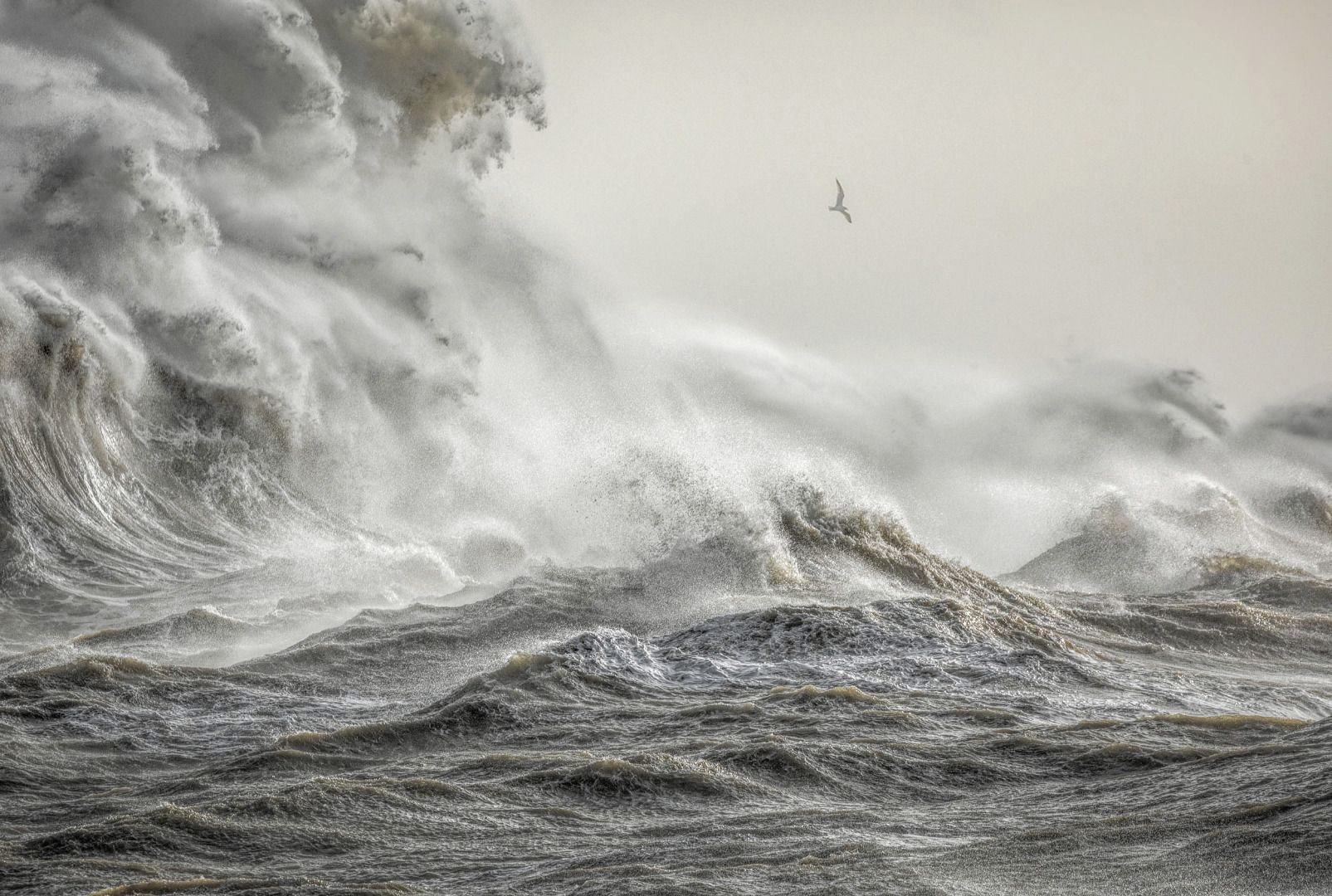 Гнев Элеоноры, © Билл Брукс Гнев Элеоноры, © Билл Брукс, Фотоконкурс «Погодный фотограф года» — Weather Photographer of the Year