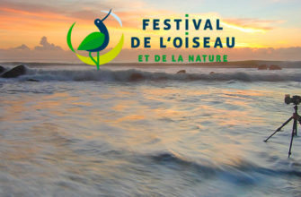 Международный фотоконкурс Wildbird